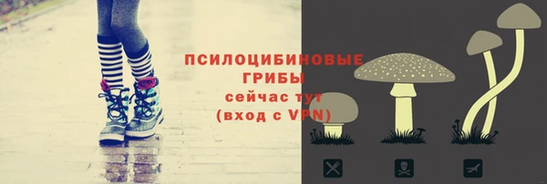 ГАЛЛЮЦИНОГЕННЫЕ ГРИБЫ Волосово