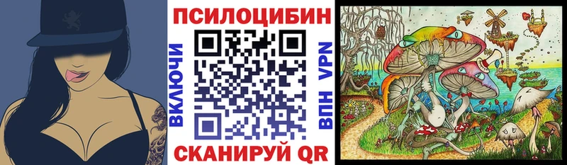 закладка  hydra рабочий сайт  Галлюциногенные грибы мухоморы  Самара 